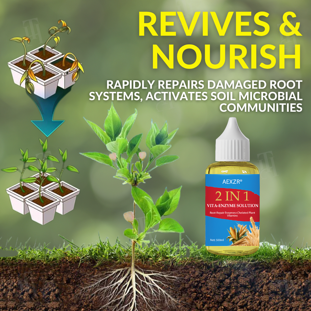 🔥 BLACK FRIDAY: 40% OFF | AEXZR® 2 in 1 Vita-Enzyme Solution